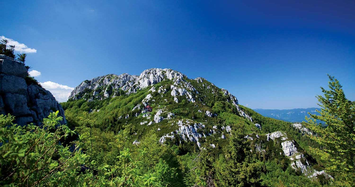 view of landscape at Risnjak National park Croatia