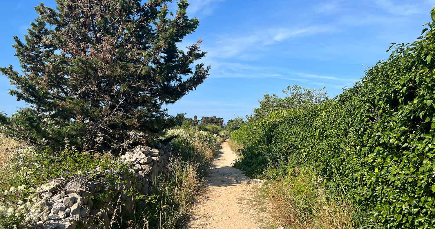 bike trails on pag