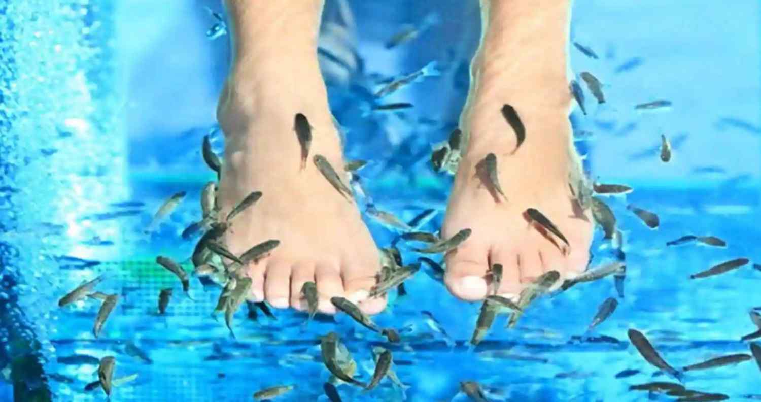 dr fish novalja pedicure